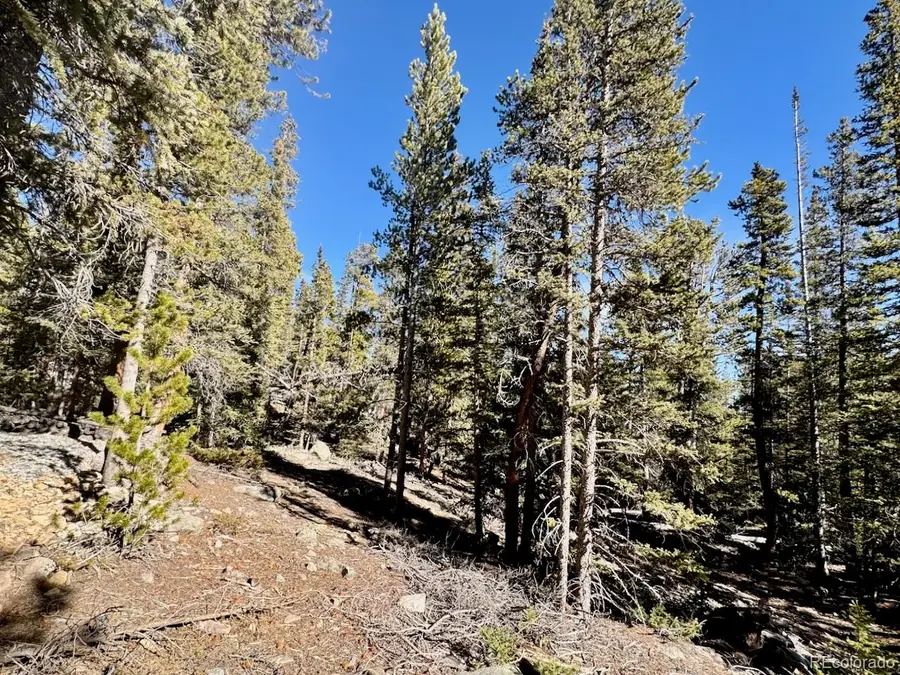 352 Puma Place, Fairplay, CO 80440 - Image #2