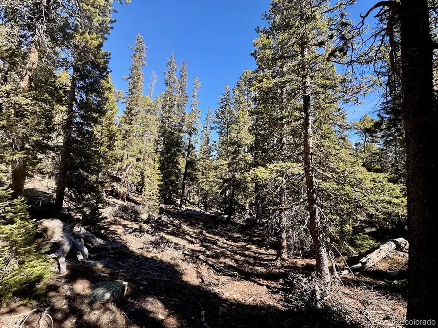 352 Puma Place, Fairplay, CO 80440 - Image #3