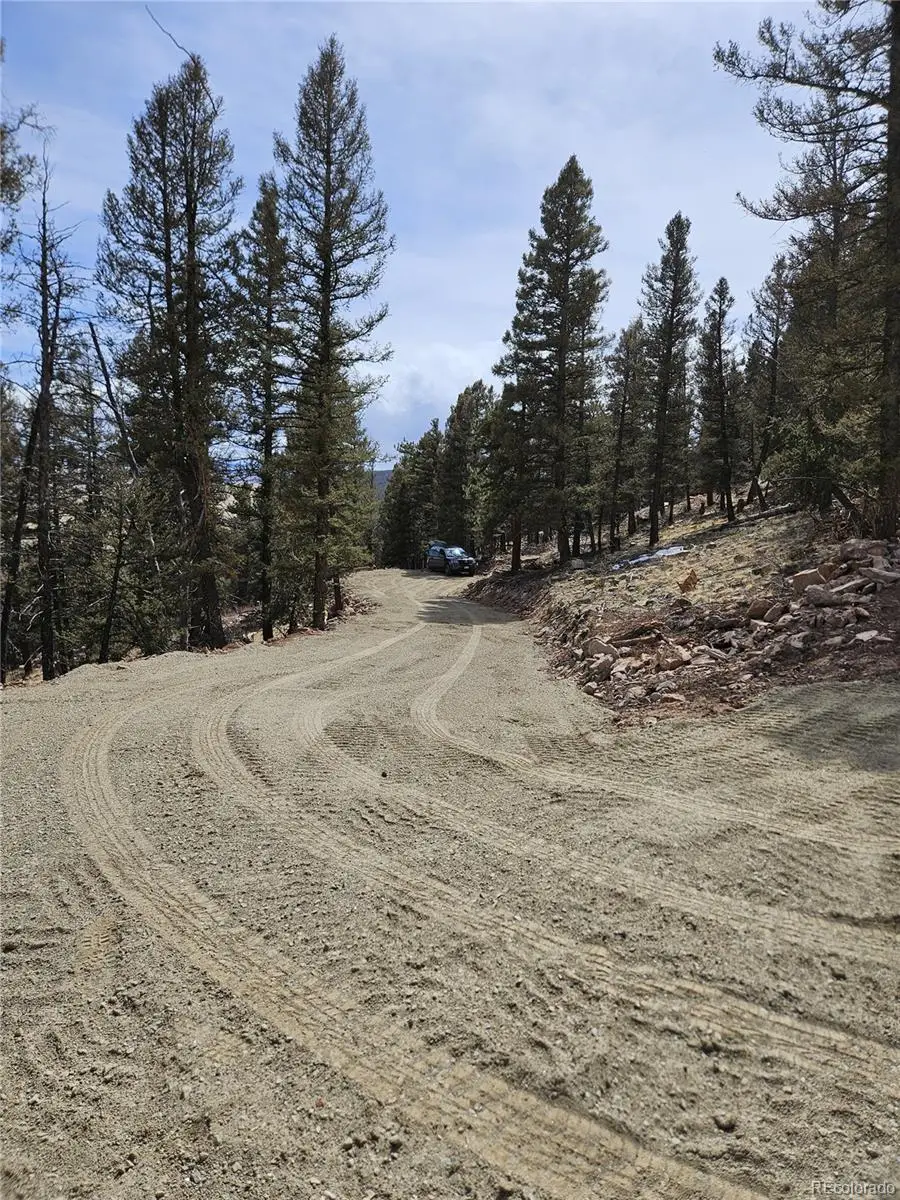 4260 Middle Fork Vista, Fairplay, CO 80440 - Image #3