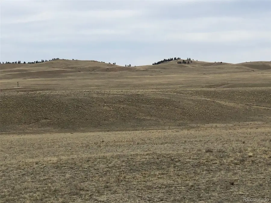 00 County Road 53, Hartsel, CO 80449 - Image #3