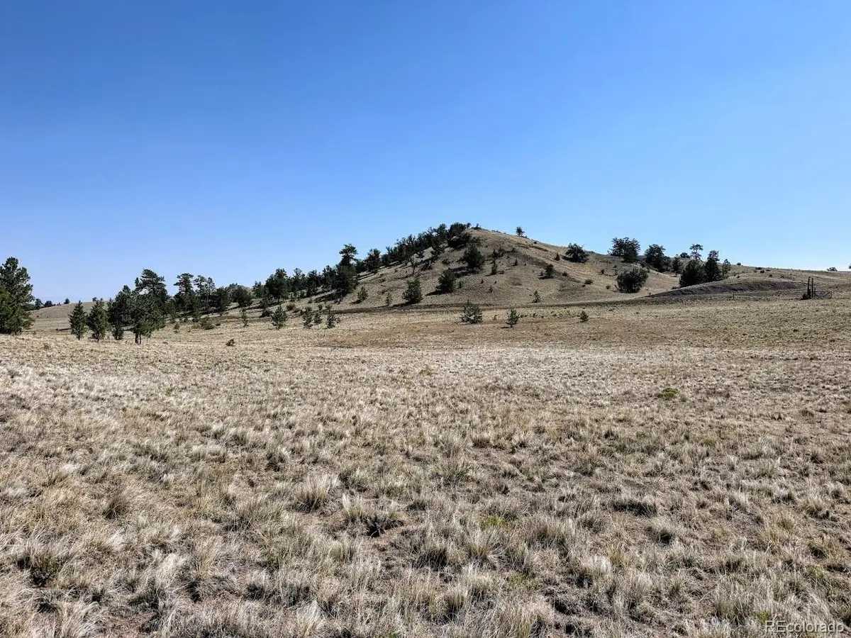 0000 Falcon Road, Hartsel, CO 80449 - #1