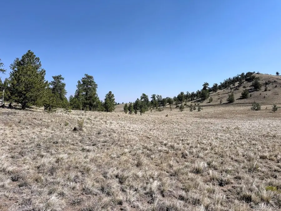 0000 Falcon Road, Hartsel, CO 80449 - #2