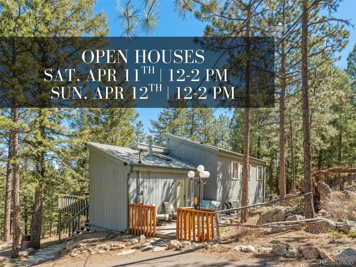 20 Long Ridge Drive, Bailey, CO 80421 - #1