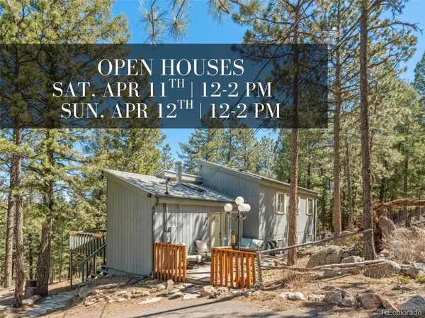 20 Long Ridge Drive, Bailey, CO 80421