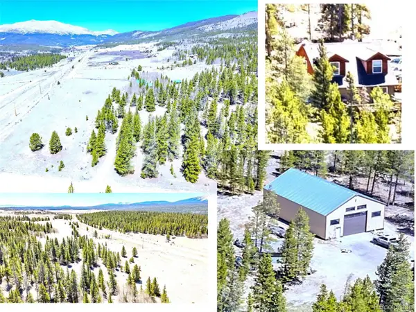 93 Placer Drive, Alma, CO 80420