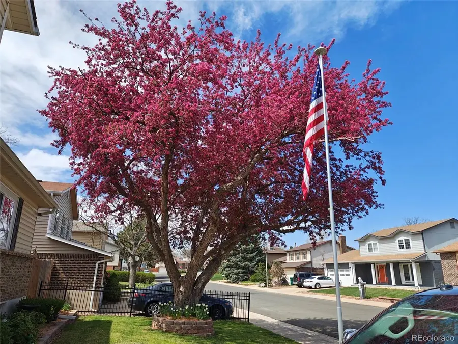 6122 W 113th Avenue, Westminster, CO 80020 - #3