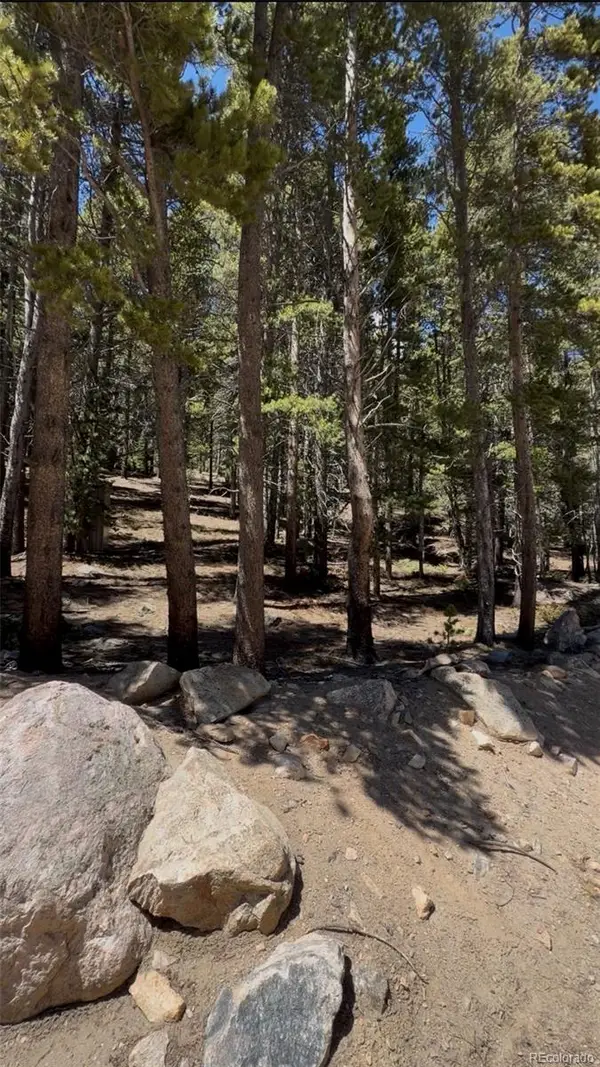 Lot 378 Alice Road, Idaho Springs, CO 80452