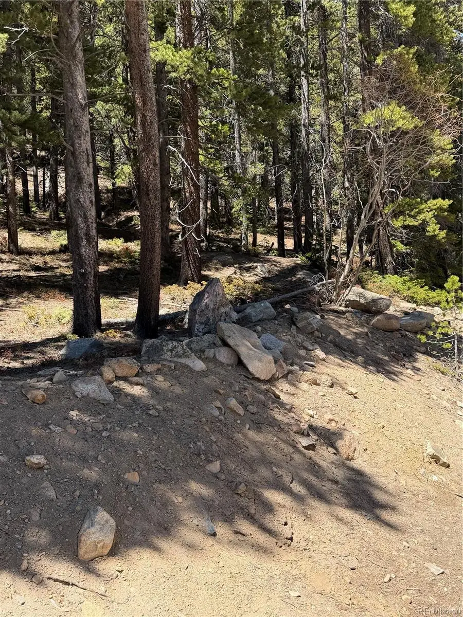 Lot 378 Alice Road, Idaho Springs, CO 80452 - #3