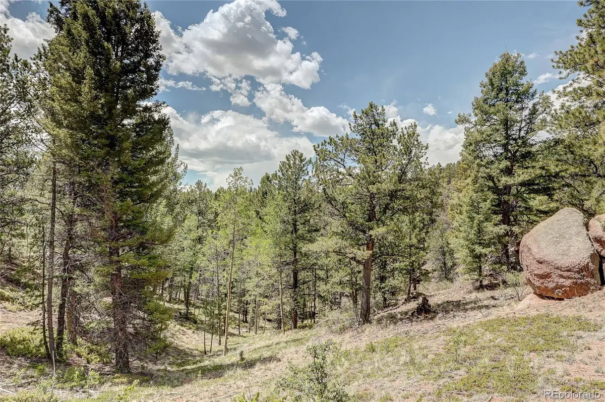 59 Robin Point, Divide, CO 80814 - #1