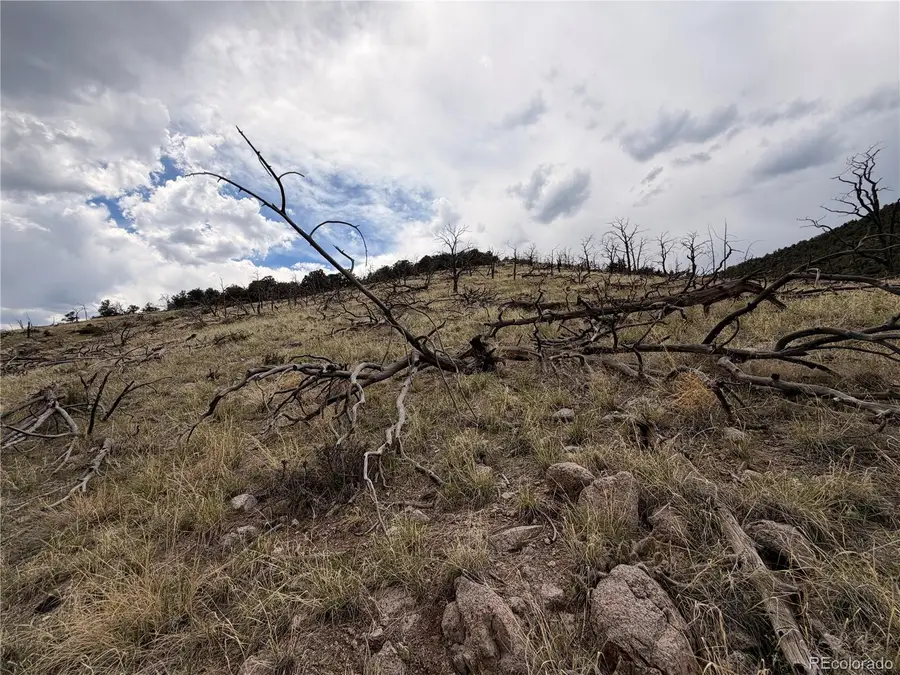 000 J Path, Cotopaxi, CO 81223 - #2