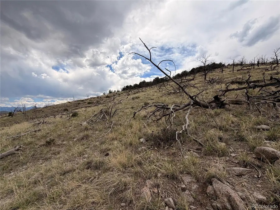 000 J Path, Cotopaxi, CO 81223 - #3