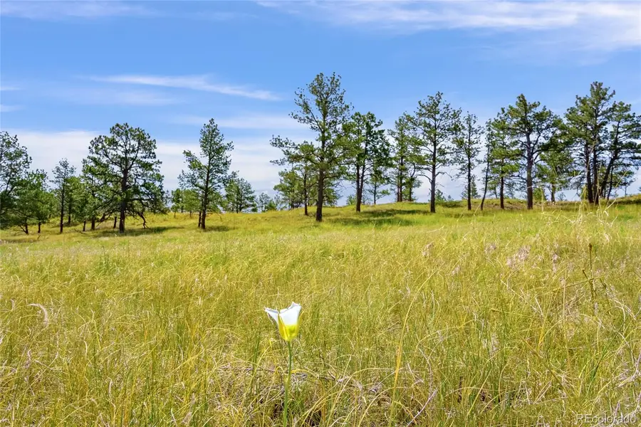 Parcel B County Road 77, Calhan, CO 80808 - #2