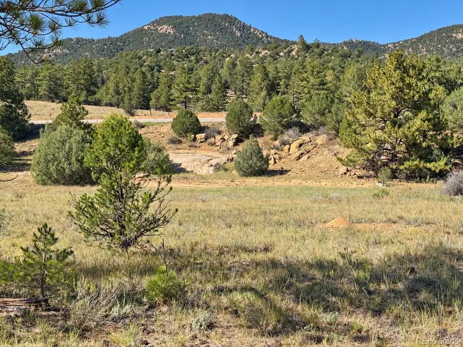 103 Cheyenne, Cotopaxi, CO 81223 - #3