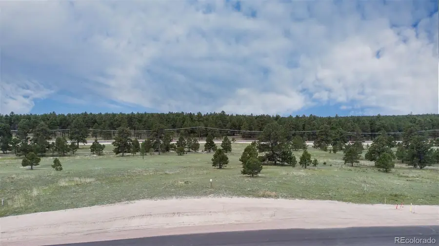 11809 Flap Jack Lane, Colorado Springs, CO 80908 - Image #2