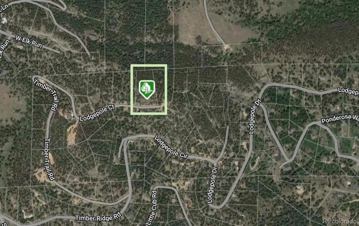 32593 Lodgepole Drive, Evergreen, CO 80439 - #1