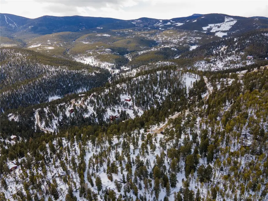 32593 Lodgepole Drive, Evergreen, CO 80439 - #3