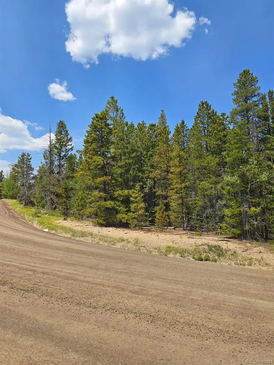 000 Virginia Canyon Road, Central City, CO 80427 - #3
