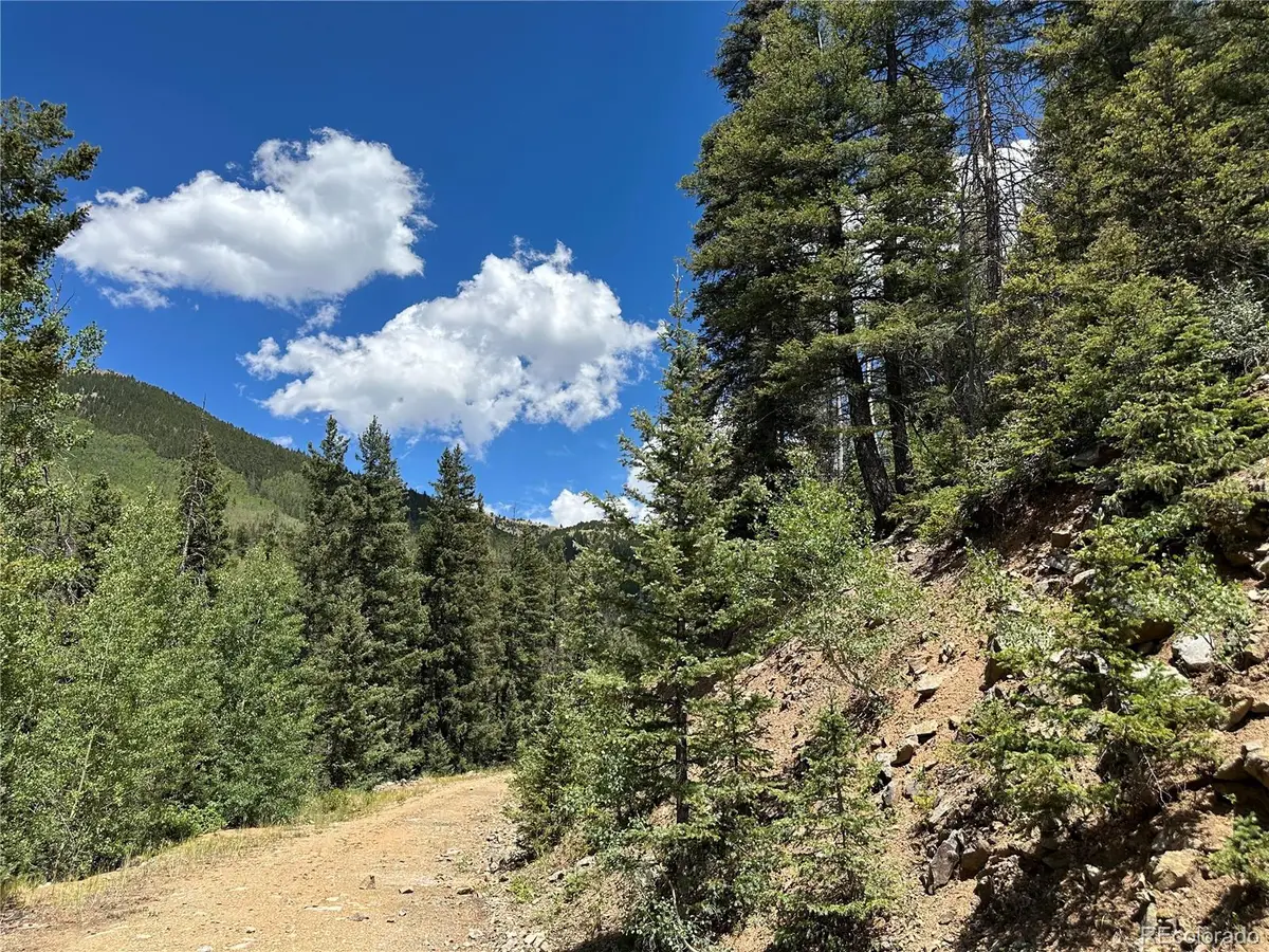 Ryland Road, Fort Garland, CO 81133 - #1