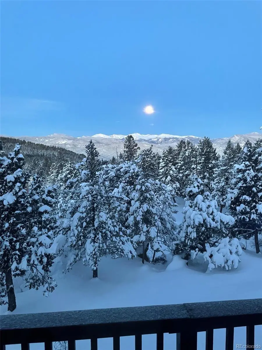 5457 Bear Mountain Drive, Evergreen, CO 80439 - #2
