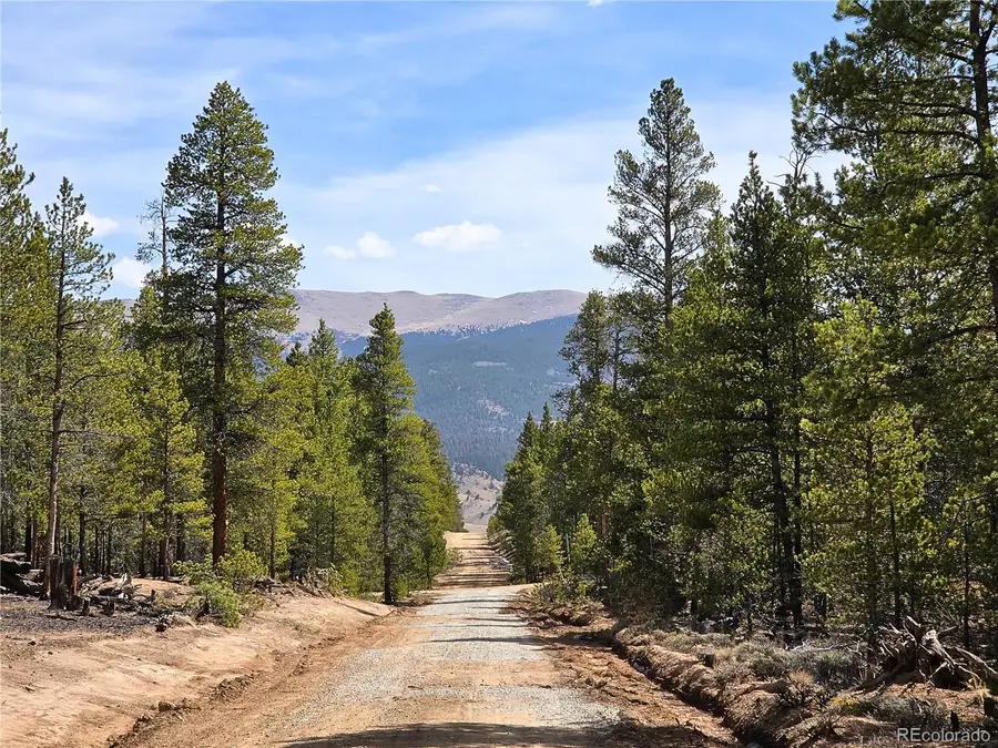 322 Fir Drive, Twin Lakes, CO 81251 - #2