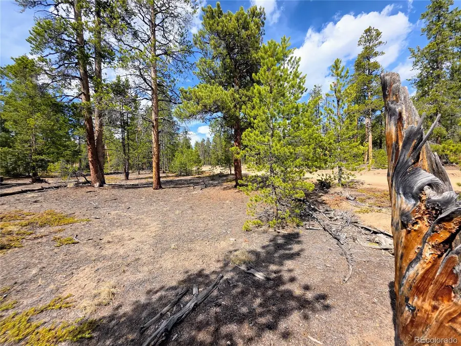 322 Fir Drive, Twin Lakes, CO 81251 - #3