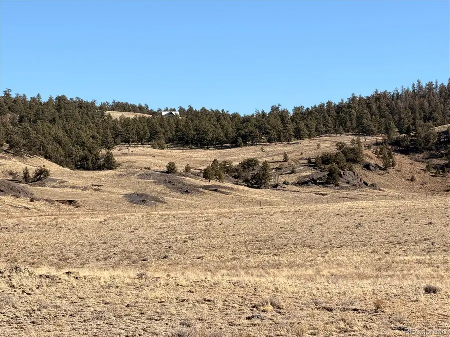 Lots 21 & 24 Thrush Lane, Hartsel, CO 80449 - #3