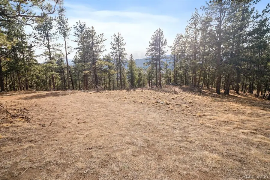 260 Bailey Drive, Bailey, CO 80421 - #2