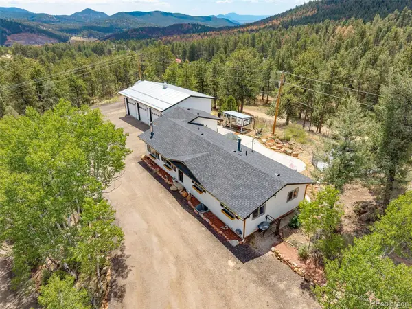 33758 Harmon Road, Pine, CO 80470