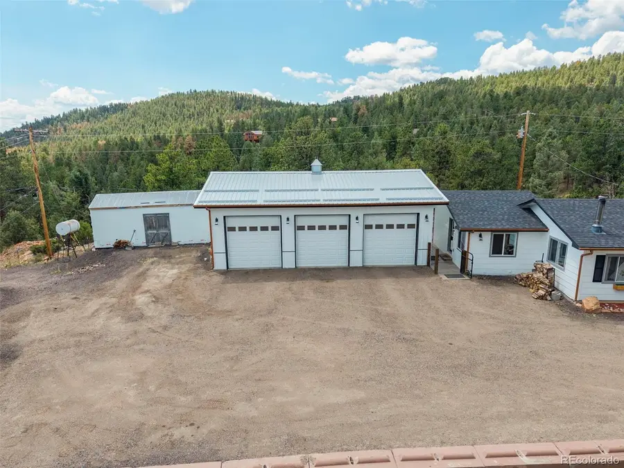 33758 Harmon Road, Pine, CO 80470 - #3