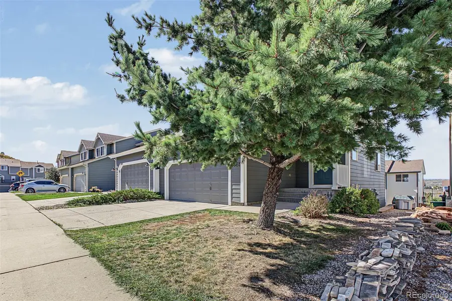 1461 Live Oak, Castle Rock, CO 80104 - #3