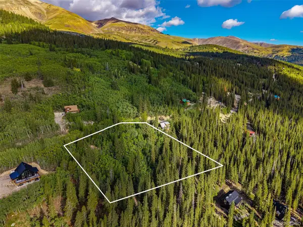 1238 Quartzville, Alma, CO 80420