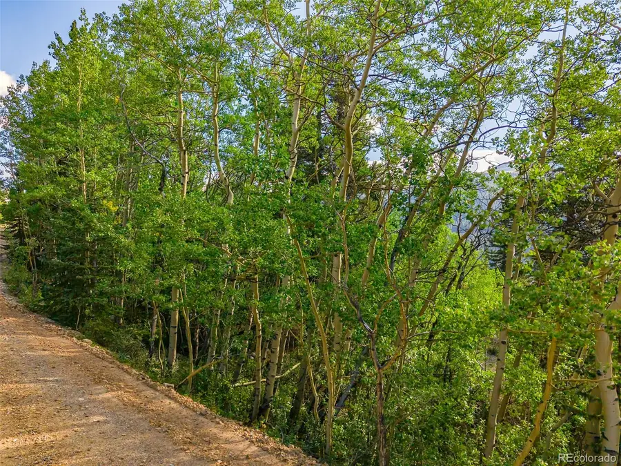 1238 Quartzville, Alma, CO 80420 - #2