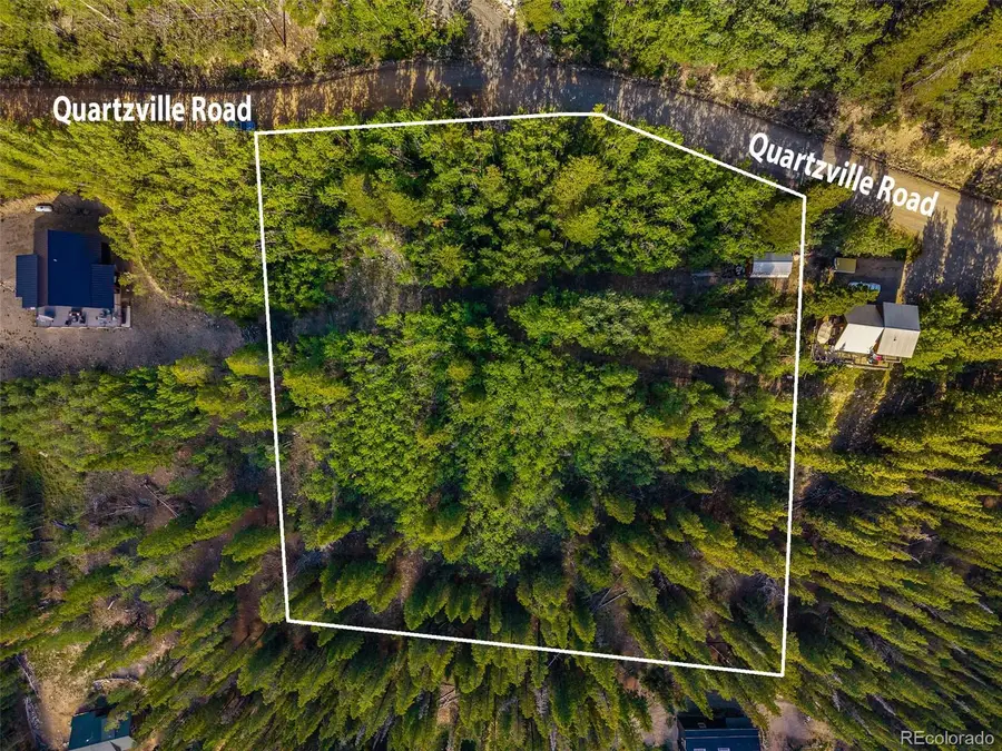 1238 Quartzville, Alma, CO 80420 - #3