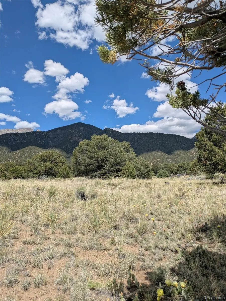 3213 Enchanted Court, Crestone, CO 81131 - #1