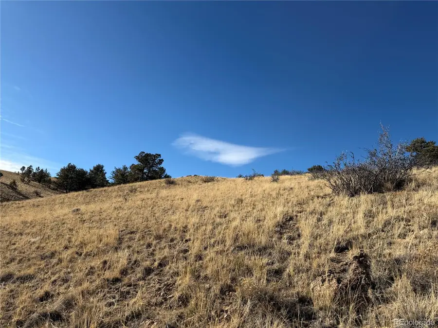 Oak Street, Hartsel, CO 80449 - Image #3