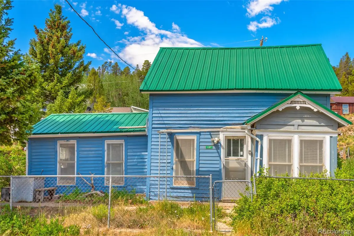 137 N Pine Street, Alma, CO 80420 - #1