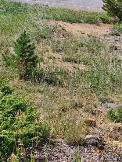 000 Quartz Valley, Central City, CO 80427 - #2