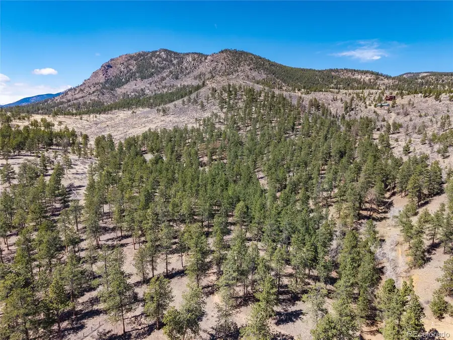 Lot 12a Bailey Estates, Bailey, CO 80421 - #3