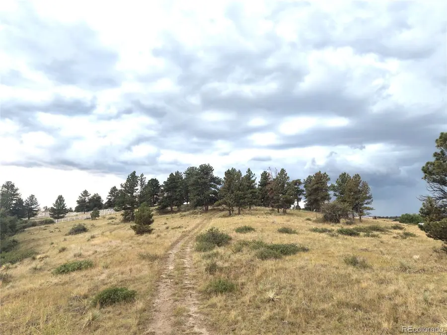 46341 Needleleaf Lane, Parker, CO 80138 - #3