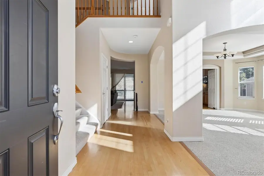 1831 Rhodonite Court, Castle Rock, CO 80108 - #2