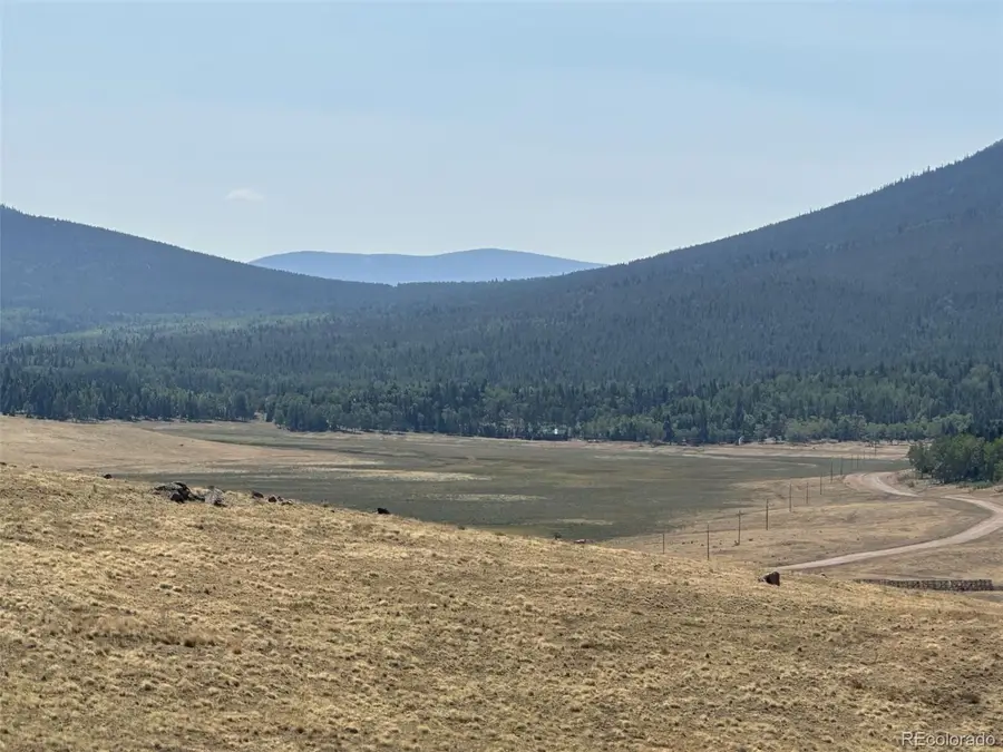 2343 Sigler Drive, Fort Garland, CO 81133 - #3