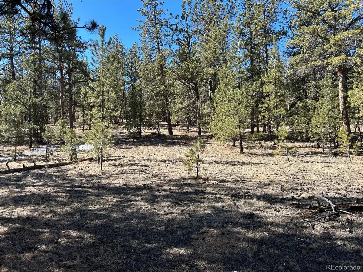 147 Haystack Road, Hartsel, CO 80449 - #1