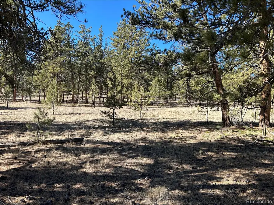 147 Haystack Road, Hartsel, CO 80449 - #2