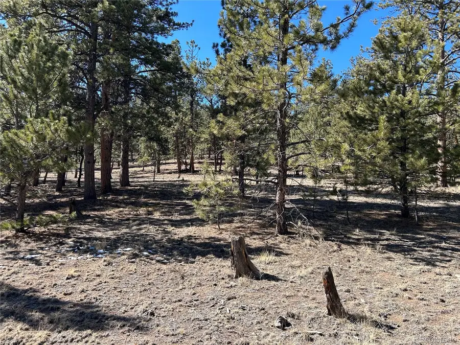 147 Haystack Road, Hartsel, CO 80449 - #3