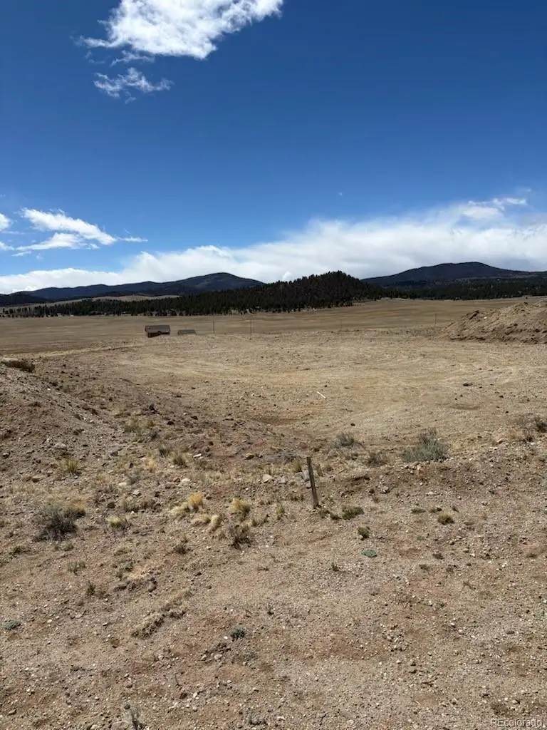 69 Buggy Court, Hartsel, CO 80449 - #3
