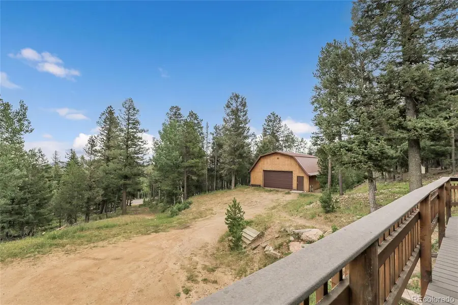 29958 Conifer Mountain Drive, Conifer, CO 80433 - #3