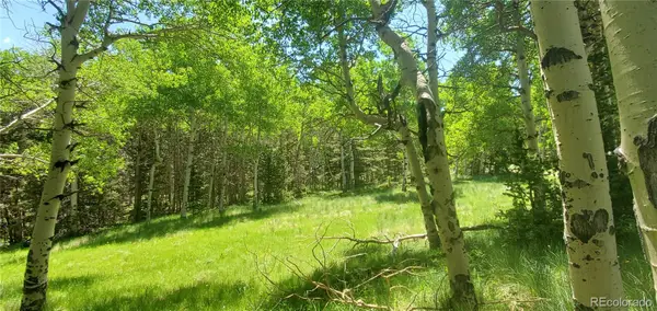 Lot 3085 Henderson Lane, Fort Garland, CO 81133