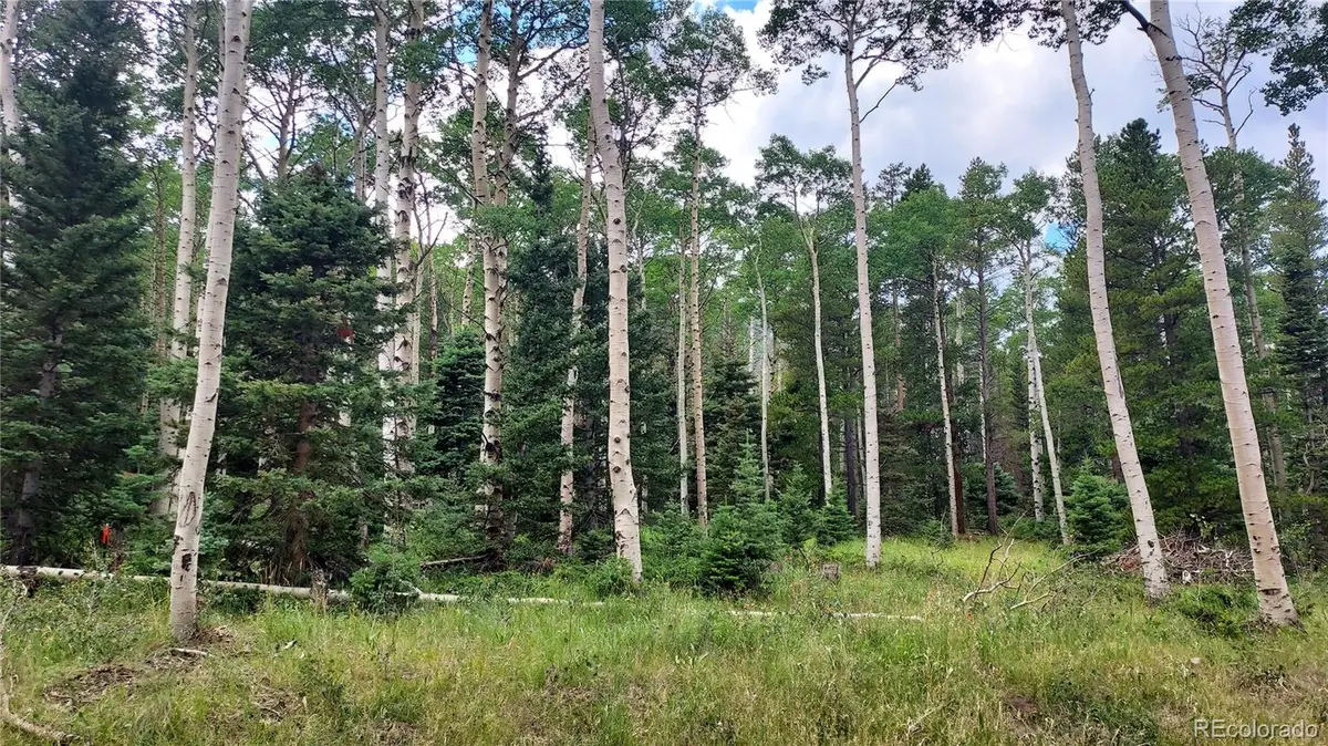 3079 Henderson Drive, Fort Garland, CO 81133 - Image #1