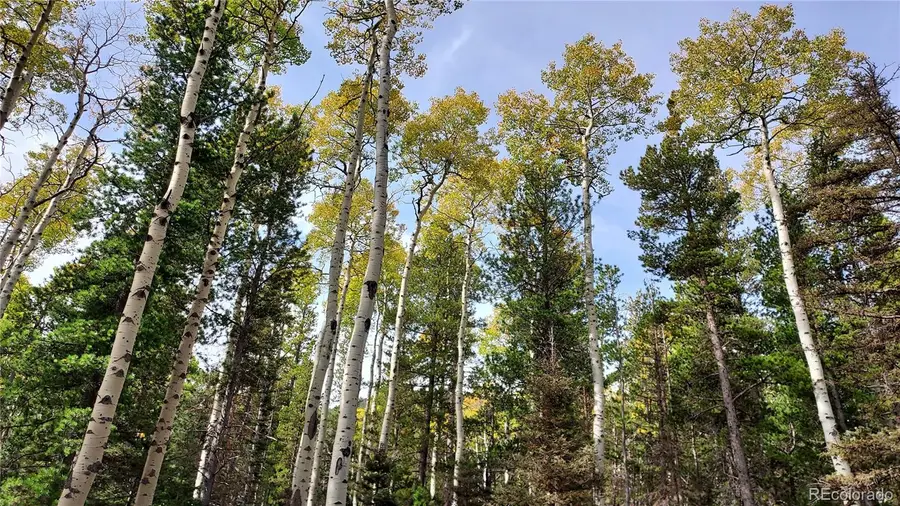 3079 Henderson Drive, Fort Garland, CO 81133 - Image #3