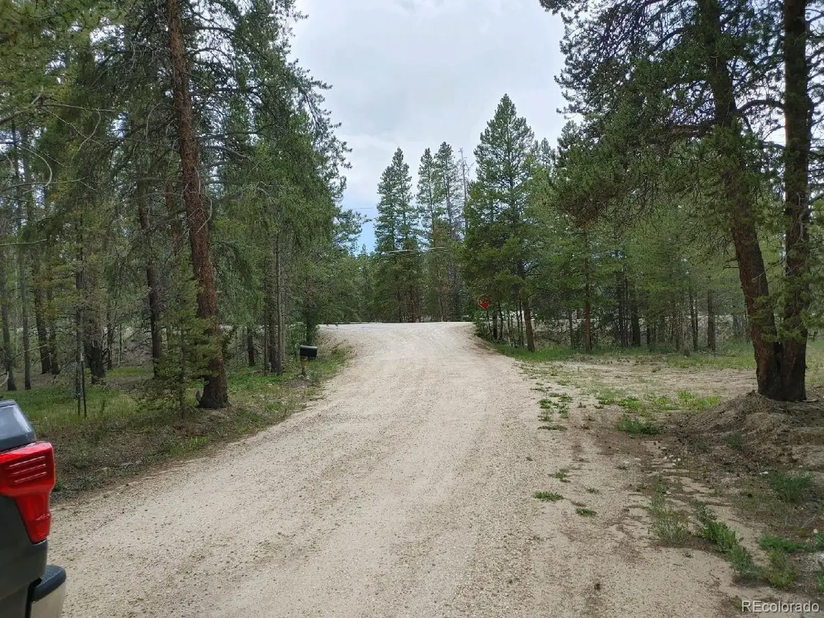 849 Topaz Street, Leadville, CO 80461 - #1